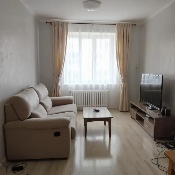 Уборка трёхкомнатной после передержки животных - после уборки